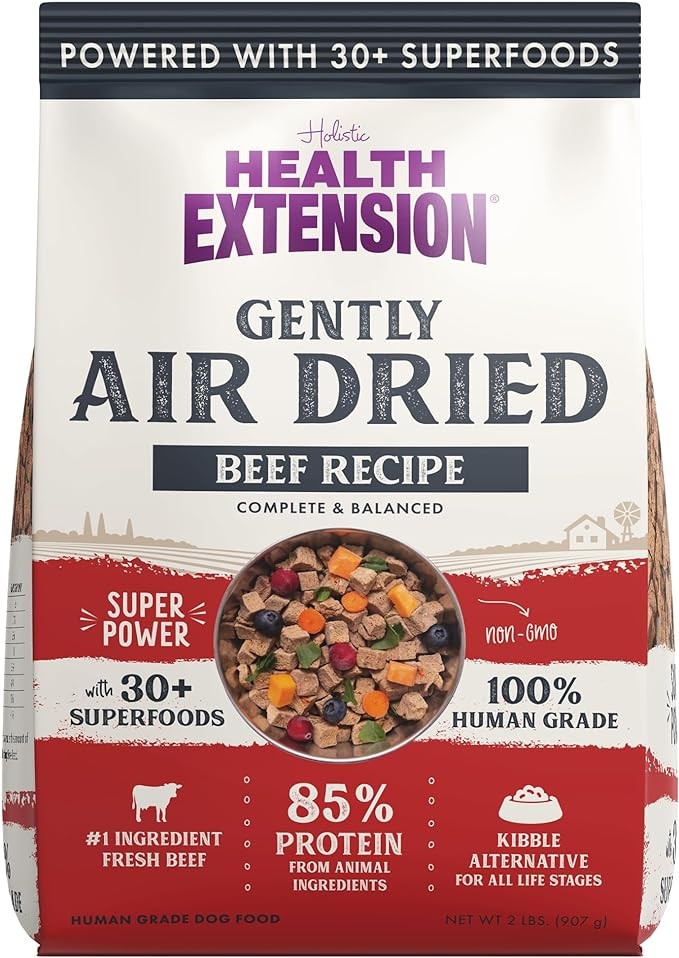 Health Extension Gently Air Dried Beef Recipe